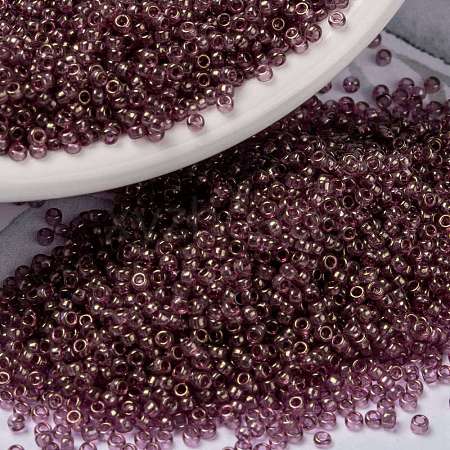 MIYUKI Round Rocailles Beads X-SEED-G009-RR2448-1