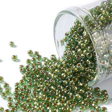 TOHO Round Seed Beads SEED-JPTR11-1007-1