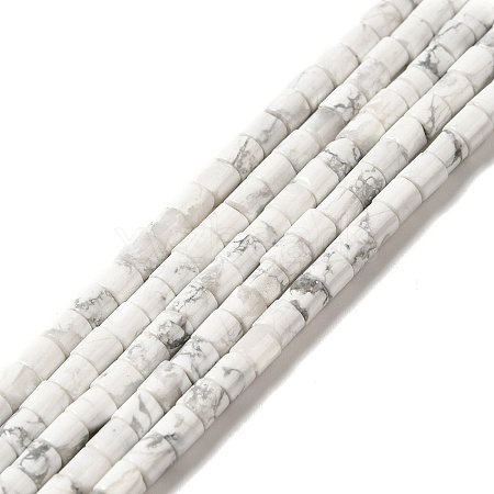 Natural Howlite Beads Strands G-I341-04-1