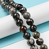 Natural Black Silver Leaf Jasper Beads Strands G-R494-A17-04-4