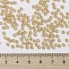 MIYUKI Round Rocailles Beads X-SEED-G008-RR0442-4
