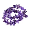 Natural Amethyst Chips Beads Strands X-G416-A19-2