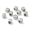 Tarnish Resistant 304 Stainless Steel European Beads STAS-H145-01G-P-2