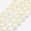 Shell Pearl Beads Strands BSHE-P024-05-1