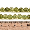 K9 Glass Beads Strands GLAA-N014-8mm-03-4