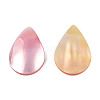 Natural Turbo Cornulus/Top Shells Cabochons SSHEL-N003-157B-1