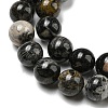 Natural Black Silver Leaf Jasper Beads Strands G-R494-A17-03-3