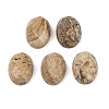 Natural Picture Jasper Cabochons G-Q186-01B-1