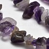 Chip Natural Amethyst Beads Strands X-G-N0134-19-2