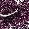 Baking Paint Glass Seed Beads SEED-L011-12A-13-1