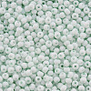 8/0 Opaque Glass Seed Beads X1-SEED-S048-N-007-3