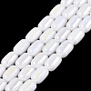 Electroplate Opaque Glass Beads Strands EGLA-Q132-03B-C01-1