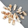 Natural Shell Beads Strands SHEL-K009-12-2