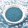MIYUKI Delica Beads X-SEED-J020-DB0798-2