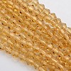 Bicone Glass Beads Strands EGLA-P016-3mm-08-1