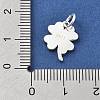 925 Sterling Silver Charms STER-S009-12B-S-3