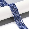 Natural Sodalite Beads Strands X-G-G139-A07-02-2