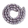 Electroplate Opaque Glass Beads Strands EGLA-Q132-03B-C04-2