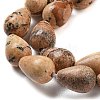 Natural Picture Jasper Beads Strands G-B106-A18-02-4