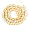 Anti-Tarnish Electroplate Bicone Glass Beads Strands EGLA-T021-6mm-16-05-2