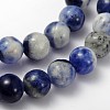 Natural Sodalite Beads Strand GSR12mmC013-2