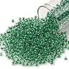 TOHO Round Seed Beads SEED-JPTR08-0343-1