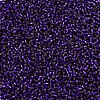 MIYUKI Delica Beads X-SEED-J020-DB0609-3
