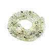 Natural Prehnite Beads Strands G-N342-124-2