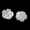 Dyed & Heated Gradient Color Glass Bead Cap GLAA-D307-01L-2