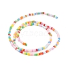 Handmade Czech Lampwork Beads Strands LAMP-L078-008N-4