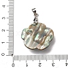 Natural Paua Shell & Natural Pearl Pendants SHEL-G024-08P-3