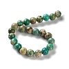 Dyed Natural Regalite/Imperial Jasper/Sea Sediment Jasper Beads Strands X-G-B124-C01-10-3