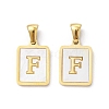 Ion Plating(IP) 304 Stainless Steel Pave Shell Pendants X-STAS-G327-01G-F-1