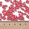 Glass Seed Beads SEED-L011-04A-08-4
