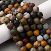 Natural Ocean Agate/Ocean Jasper Beads Strands G-G772-06-B-2