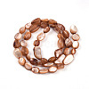 Natural White Shell Beads Strands SHEL-N036-21E-2