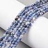 Natural Blue Spot Jasper Beads Strands G-Z116-A02-3mm-1
