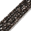 Natural Silver Sheen Obsidian Beads Strands G-D467-A01-1