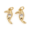 Brass Micro Pave Cubic Zirconia Charms ZIRC-L096-11G-1