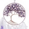 Iron Woven Web/Net with Feather Pendant Decorations AJEW-B017-06-2
