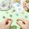 Colorful Resin Beads RESI-CJC0027-14-4