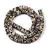 Natural Dalmatian Jasper Beads Strands G-T139-6x6-17A-2