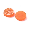 Resin Imitation Fruit Model DJEW-G047-01C-2