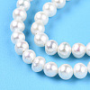 Natural Nucleated Pearl Beads Strands PEAR-N016-03B-4