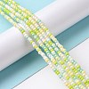 Glass Seed Bead Strands LAMP-B021-04B-2