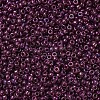 MIYUKI Round Rocailles Beads X-SEED-G007-RR0313-3