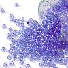 TOHO Round Seed Beads SEED-JPTR08-0168-1