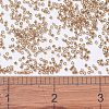MIYUKI Delica Beads SEED-MY11-DB1221-4