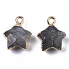 Natural Labradorite Pendants G-N326-36B-2