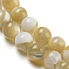 Natural Trochid Shell/Trochus Shell Beads Strands BSHE-Z005-04B-3